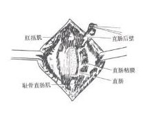 症状起因