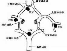 症状描述