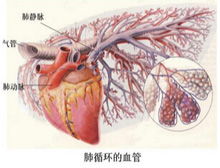 症状描述