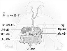 检查