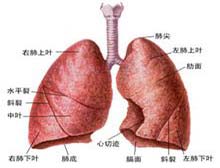 症状描述