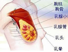 临床表现