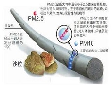 自我防护