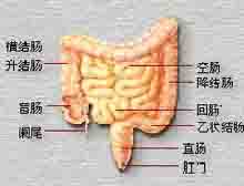 症状诊断/鉴别