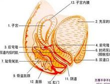 症状描述