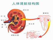 症状诊断/鉴别