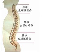 症状描述