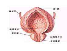 症状起因