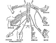 症状诊断/鉴别