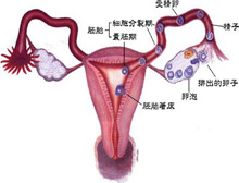 症状起因