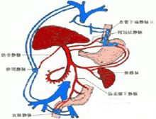 症状描述