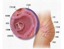 症状起因
