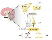 症状描述