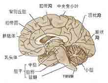 症状起因