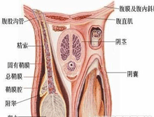 概述