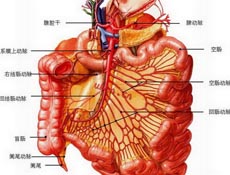 疾病简介