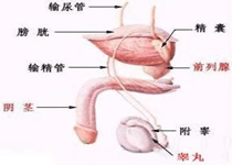 危害影响