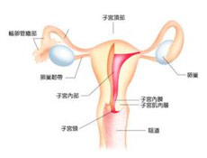 病理病因