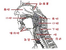 生物细胞治疗