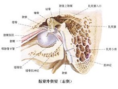 临床症状