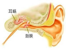 检查