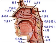 概述