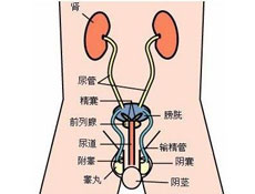 易感因素