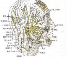 鉴别诊断