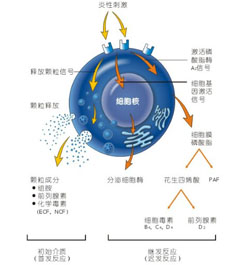 其他因素