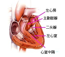 认识