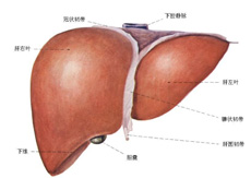 疑难病症