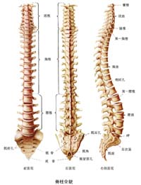 简介