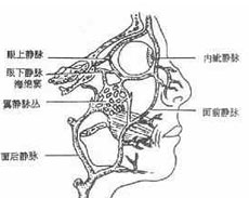 症状体征