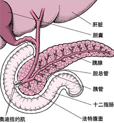 诊断检查