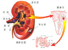 护理