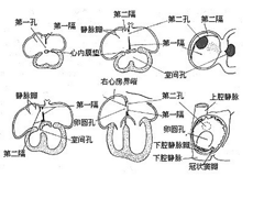 病理