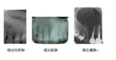 口腔科