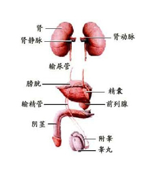 症状体征