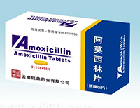阿莫西林片基本信息