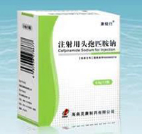 注射用头孢匹胺钠(供静脉注射用)基本信息