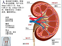 疾病病因