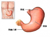 功能性胃肠病