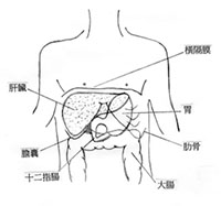 小儿血液肿瘤