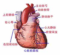 疾病治疗