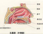 护理