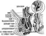 预防保健