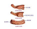 基本症状