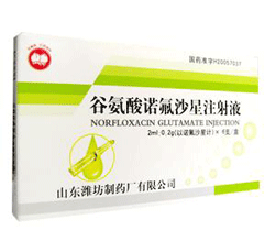 谷氨酸诺氟沙星注射液基本信息