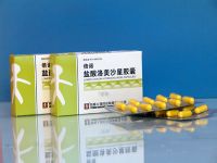 盐酸洛美沙星胶囊药理毒理