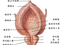 疾病就诊误区